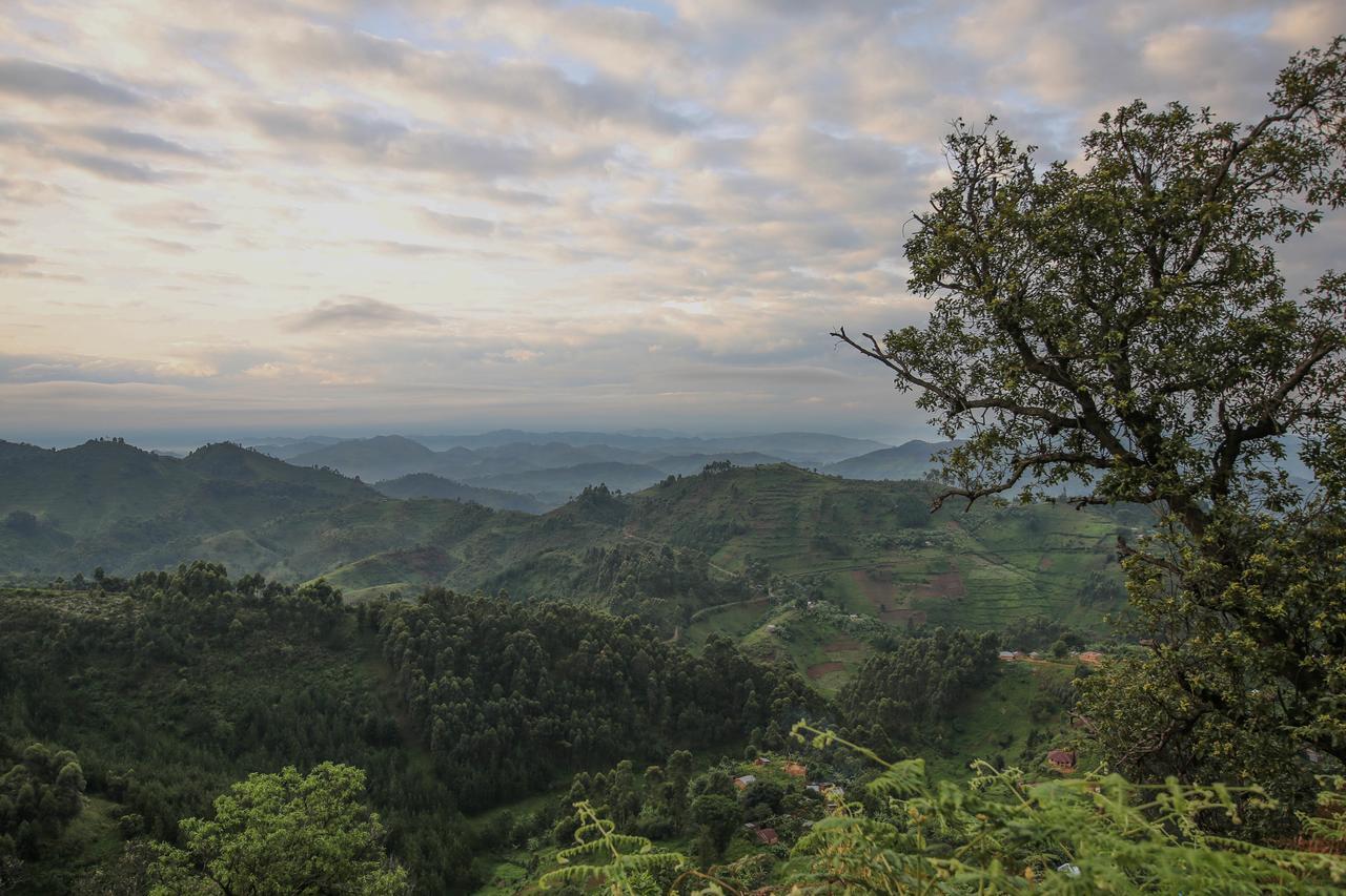 Nkuringo Bwindi Gorilla Lodge Exterior photo